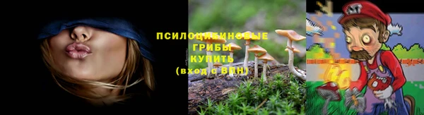прущая мука Карталы