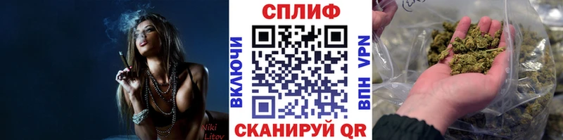 МАРИХУАНА план  Купить закладки  Пудож 